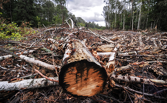 Проведены расследование смертельного случая и внеплановая выездная проверка в ООО «Союз».